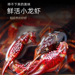 朝天红秘卤小龙虾诱人香辣味1500g