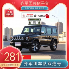 齐军团车队——中军标识选号绿色通道双连号